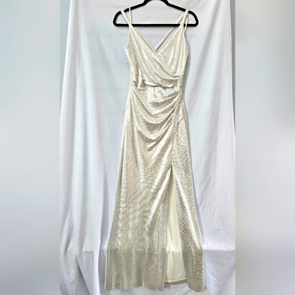 Evening gown / elegant dress